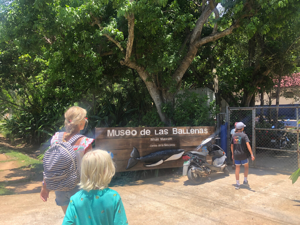 Sign of the whale museum in Samana