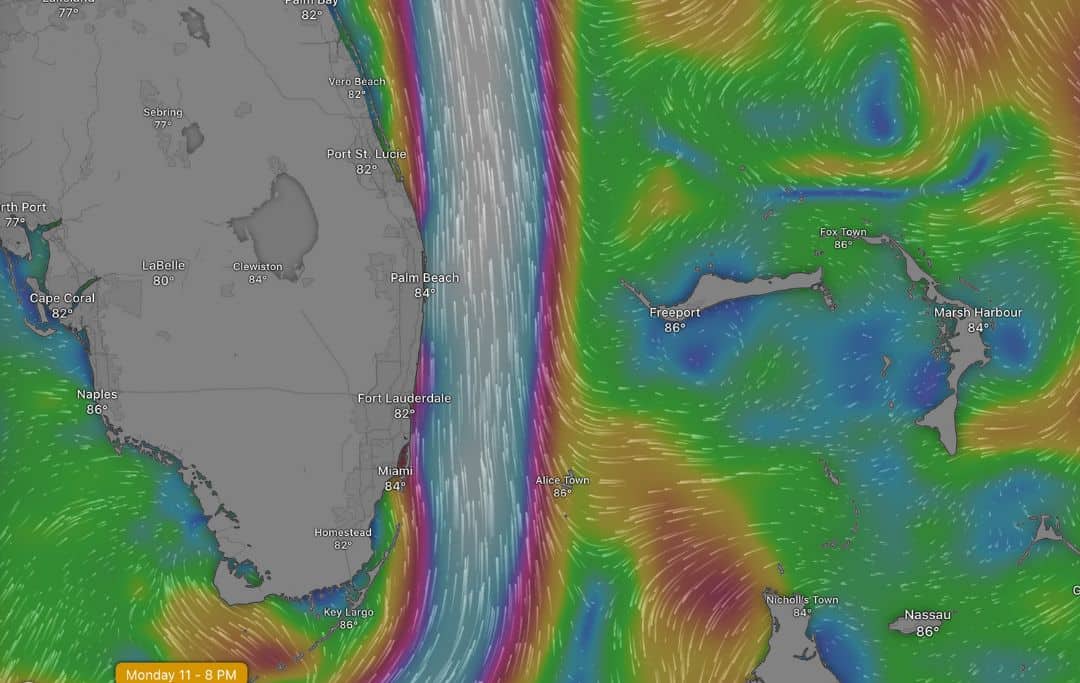 Windy graphic showing gulf stream current