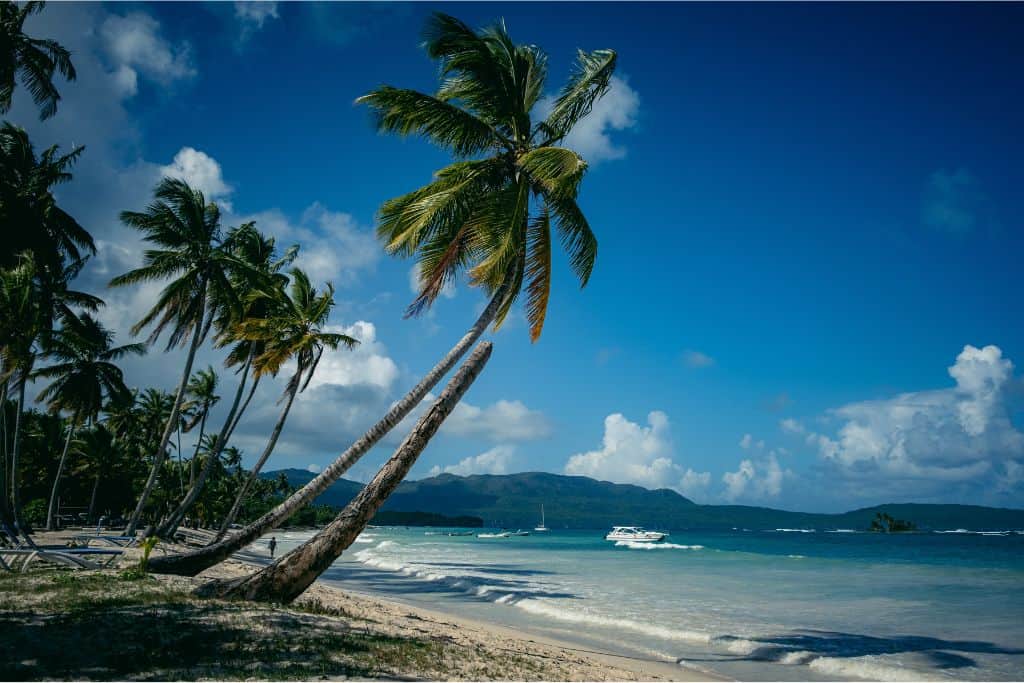 Playa El Valle with palm trees and waves