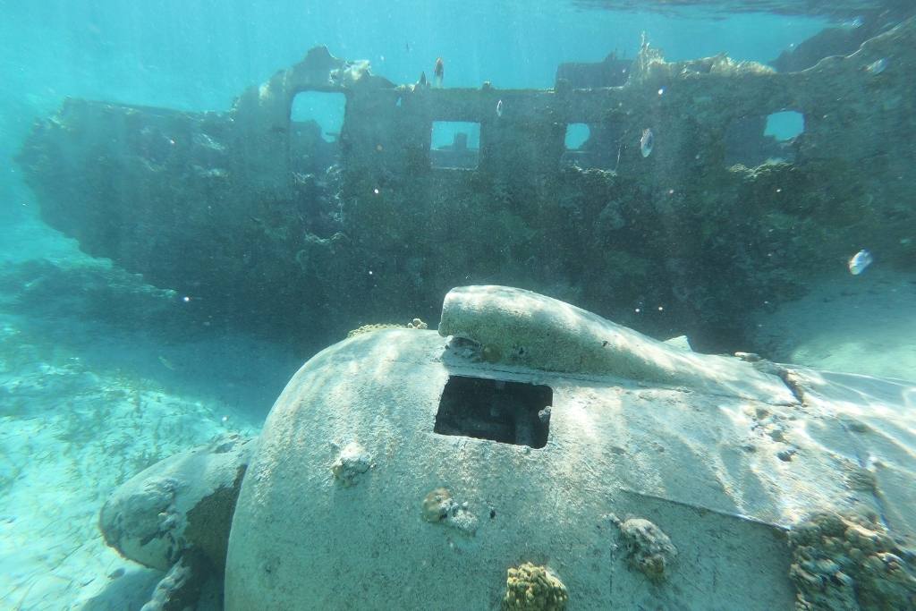 Sunken Plane at Normans Cay Underwater