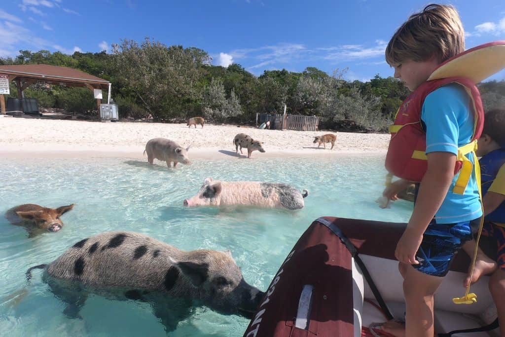 Olin in the dinghy watching the swimming pigs